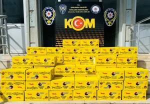 Akçakale’de kaçak balık konservesi ele geçirildi