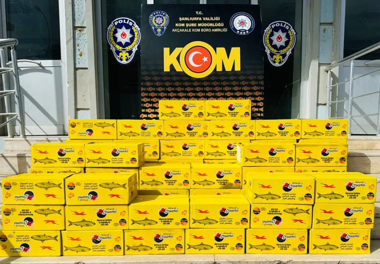 Akçakale’de kaçak balık konservesi ele geçirildi