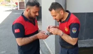 Haliliye’de ağaçta mahsur kalan güvercin kurtarıldı
