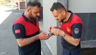 Haliliye’de ağaçta mahsur kalan güvercin kurtarıldı