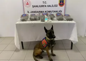 Birecik’te Jandarmadan Büyük uyuşturucu operasyonu: 3 gözaltı