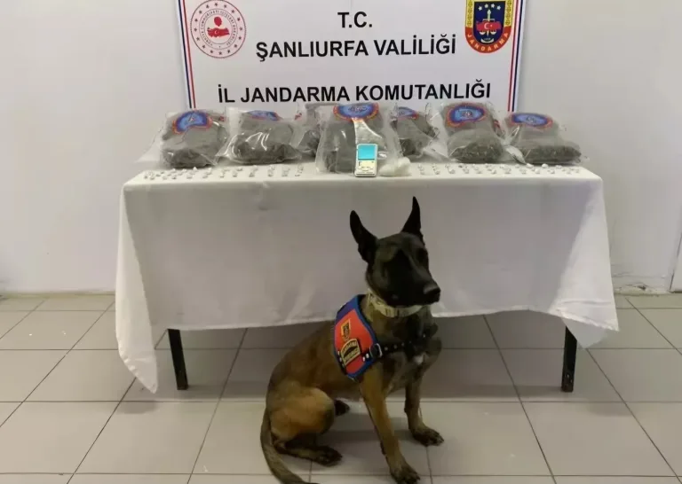 Birecik’te Jandarmadan Büyük uyuşturucu operasyonu: 3 gözaltı