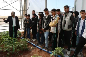 Şanlıurfa’da öğrenciler seracılığı uygulamada öğreniyor!