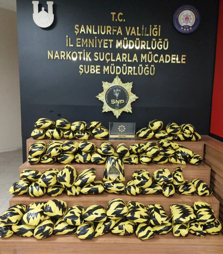 Şanlıurfa’da uyuşturucu operasyonu: 55 kilo skunk ele geçirildi!