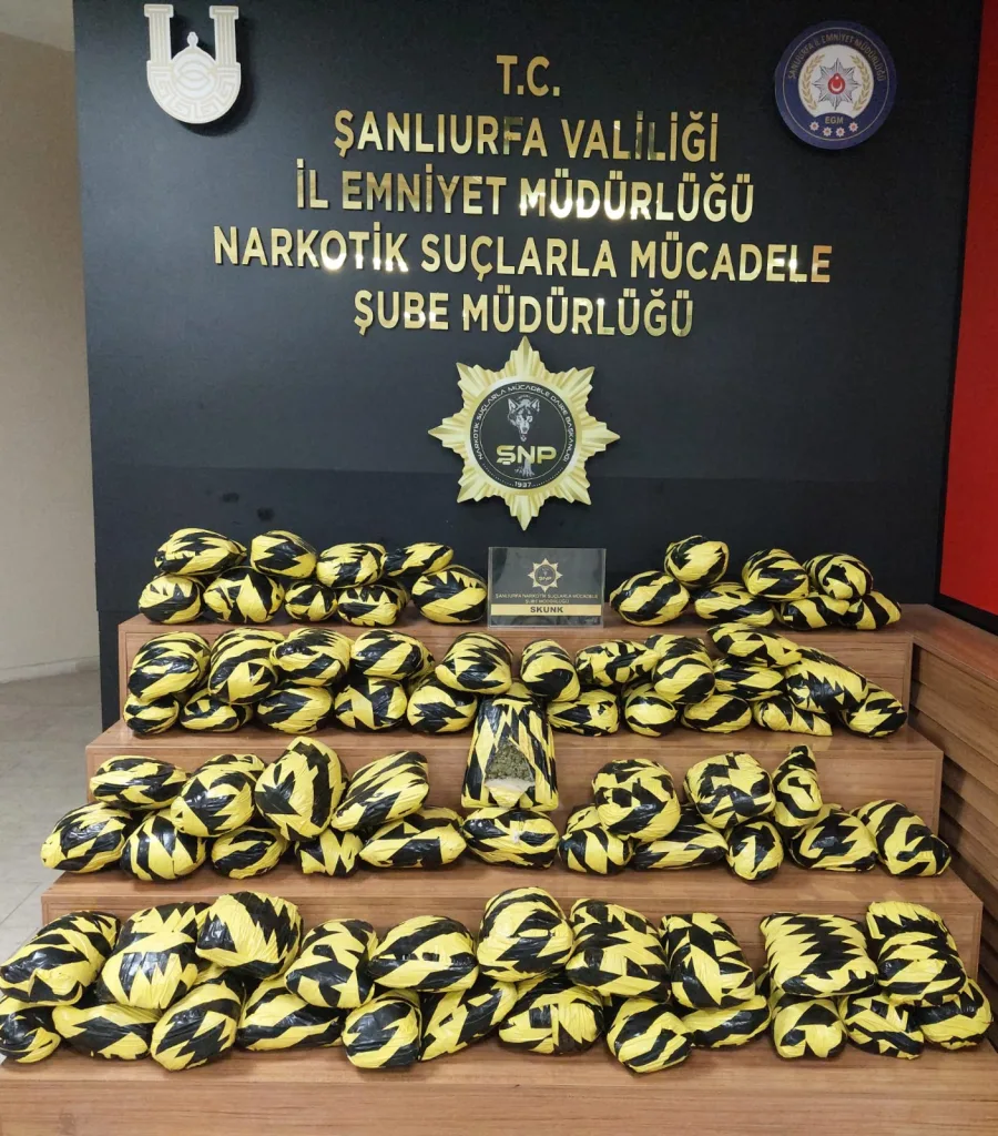 Şanlıurfa’da uyuşturucu operasyonu: 55 kilo skunk ele geçirildi!