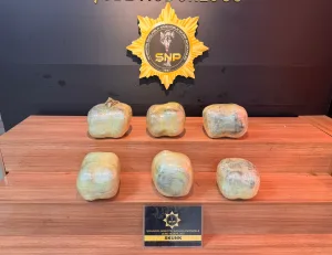 Şanlıurfa’da narkotik operasyonu: 14 kilo skunk ele geçirildi!