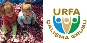 Şanlıurfa’da Zeytin ve Fıstık işleme tesislerine ihtiyaç artıyor