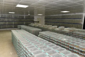 Vali Şıldak Akrep üretim tesisini ziyaret etti: Şanlıurfa’dan dünyaya akrep zehri ihraç ediliyor!