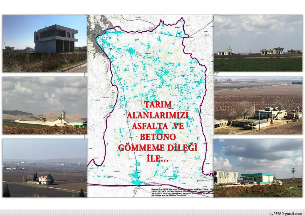 Harran Ovası’nda 120 bin dekar tarım arazisi betonlaşmaya kurban gitti!