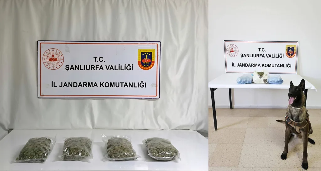 Şanlıurfa’da Narkotik operasyonu: İki araçta kilolarca uyuşturucu yakalandı