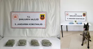 Şanlıurfa’da Narkotik operasyonu: İki araçta kilolarca uyuşturucu yakalandı