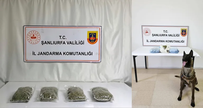 Şanlıurfa’da Narkotik operasyonu: İki araçta kilolarca uyuşturucu yakalandı