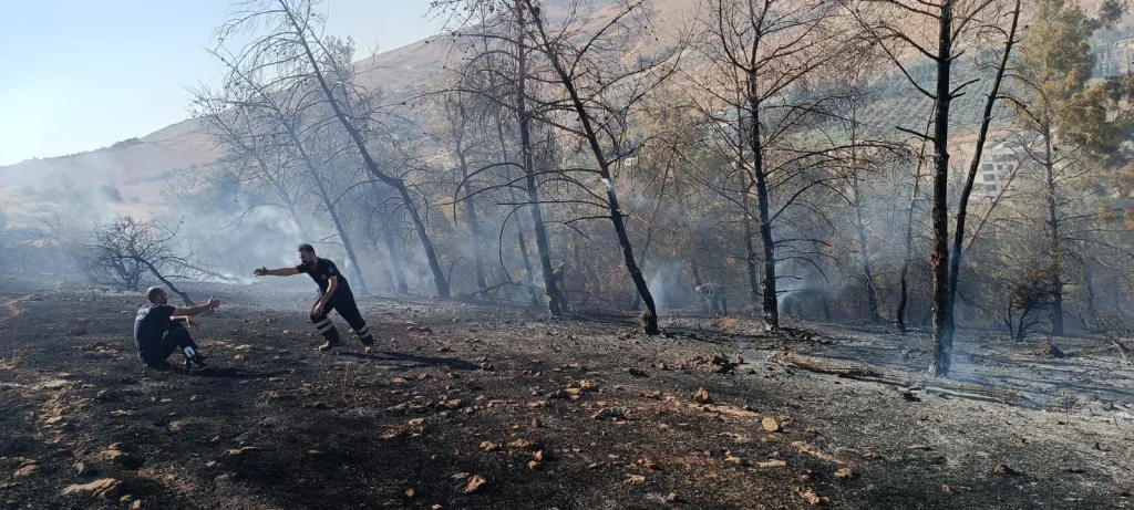 Şanlıurfa’da orman yangını kontrol altına alındı