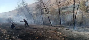 Şanlıurfa’da orman yangını kontrol altına alındı