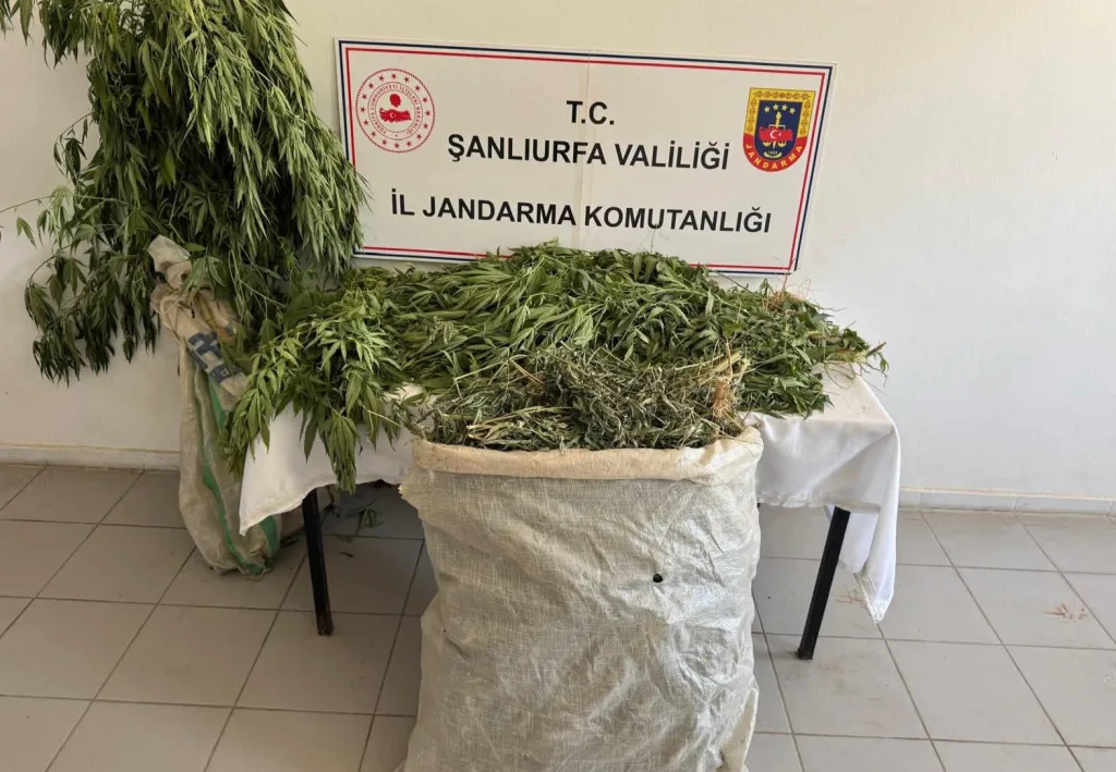 Şanlıurfa’da narkotik operasyonu: 3 gözaltı