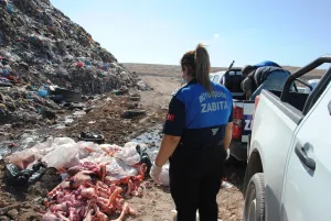 Şanlıurfa’da depolara baskın: Yaklaşık 1 ton bozuk et imha edildi
