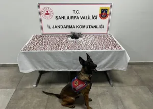 Şanlıurfa’da uyuşturucu operasyonu: 2 gözaltı