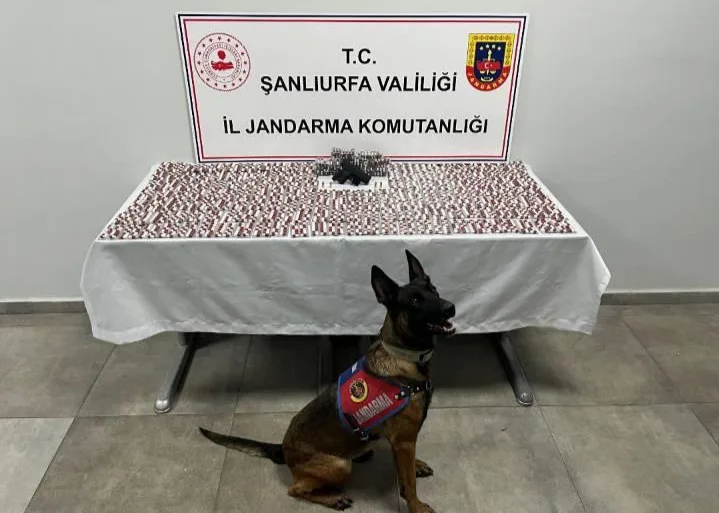 Şanlıurfa’da uyuşturucu operasyonu: 2 gözaltı