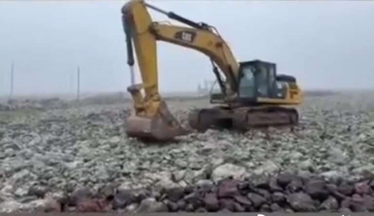 Viranşehir’de çamura saplanan inek iş makinesiyle kurtarıldı