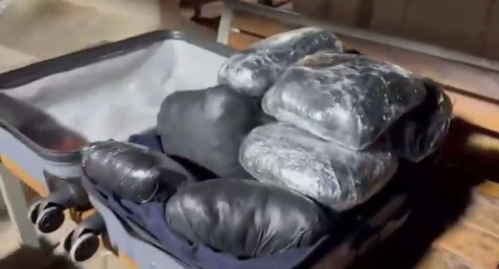 Şanlıurfa’da zehir tacirlerine darbe: 8 kilo skunk ele geçirildi