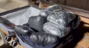 Şanlıurfa’da zehir tacirlerine darbe: 8 kilo skunk ele geçirildi