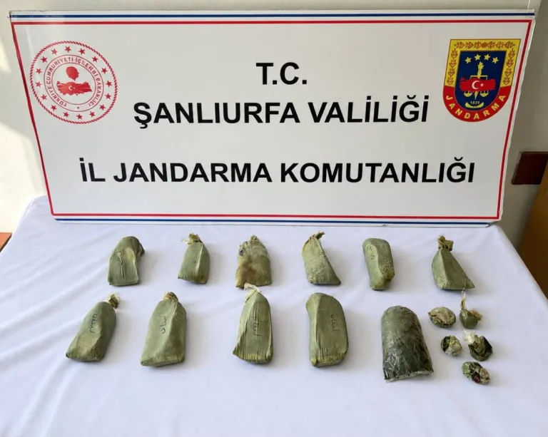 Suruç’ta narkotik operasyonu: 5.5 kilo esrar ele geçirildi, 1 gözaltı